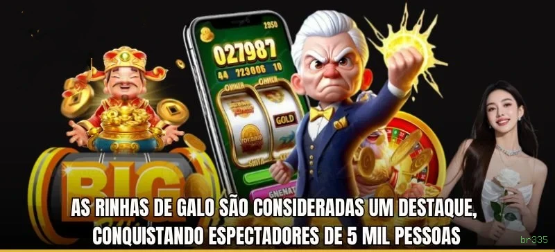 Login seguro na br335